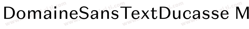 DomaineSansTextDucasse Medium字体转换
